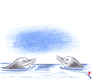 Image dauphins